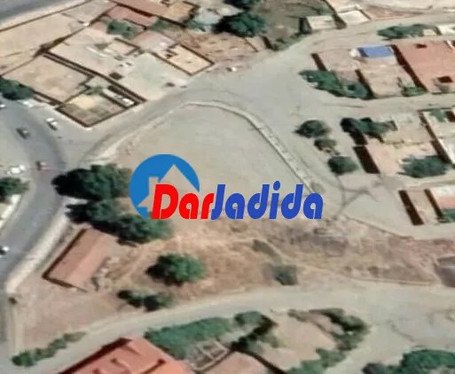 Vente Terrain  Tissemsilt