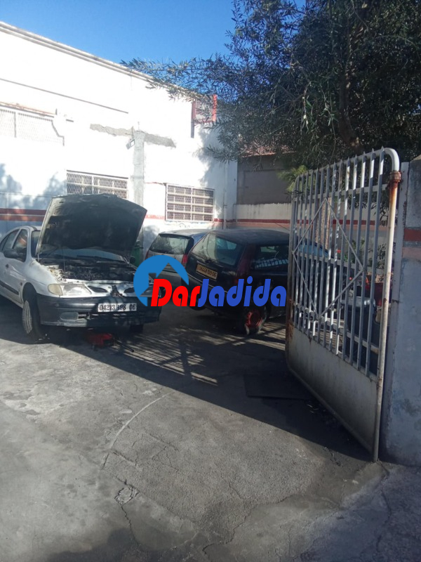 Location Hangar  Bejaia