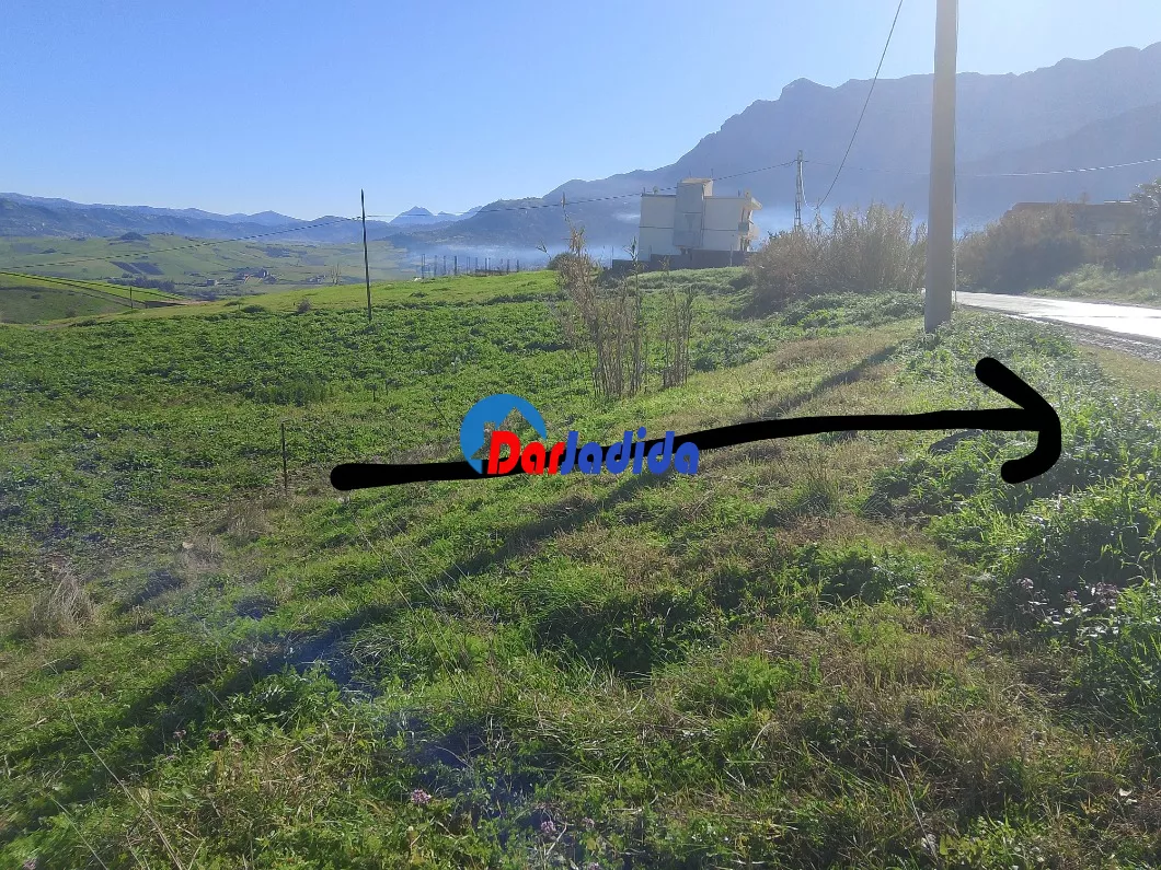 Vente Terrain  Tizi-ouzou