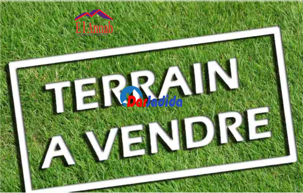 Vente Terrain  Annaba