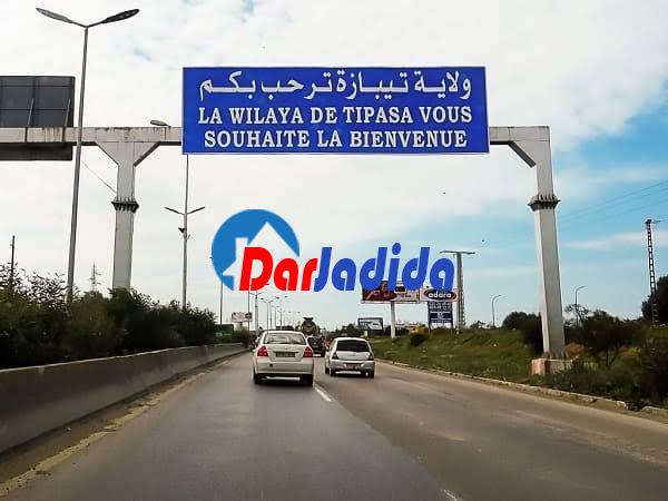 Vente Terrain  Tipaza