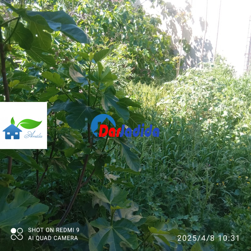 Vente Terrain  Tizi-ouzou