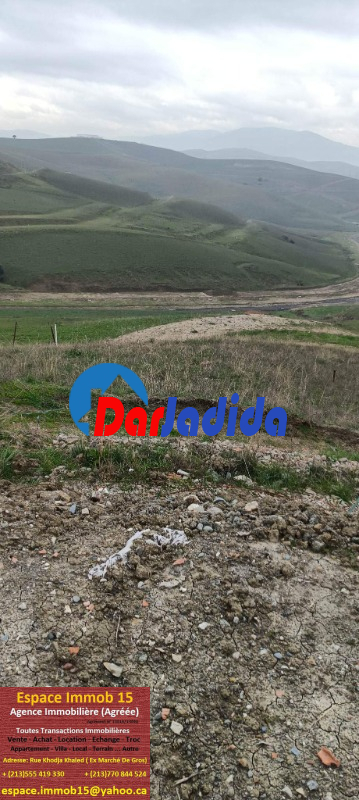 Vente Terrain  Tizi-ouzou