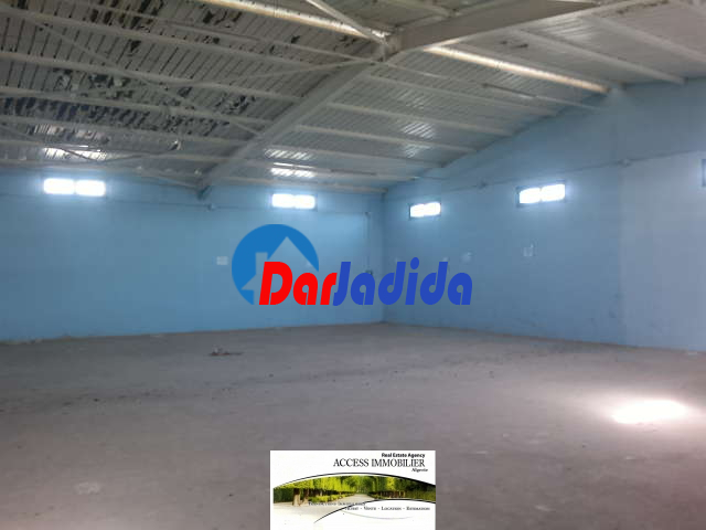 Location Hangar  Alger