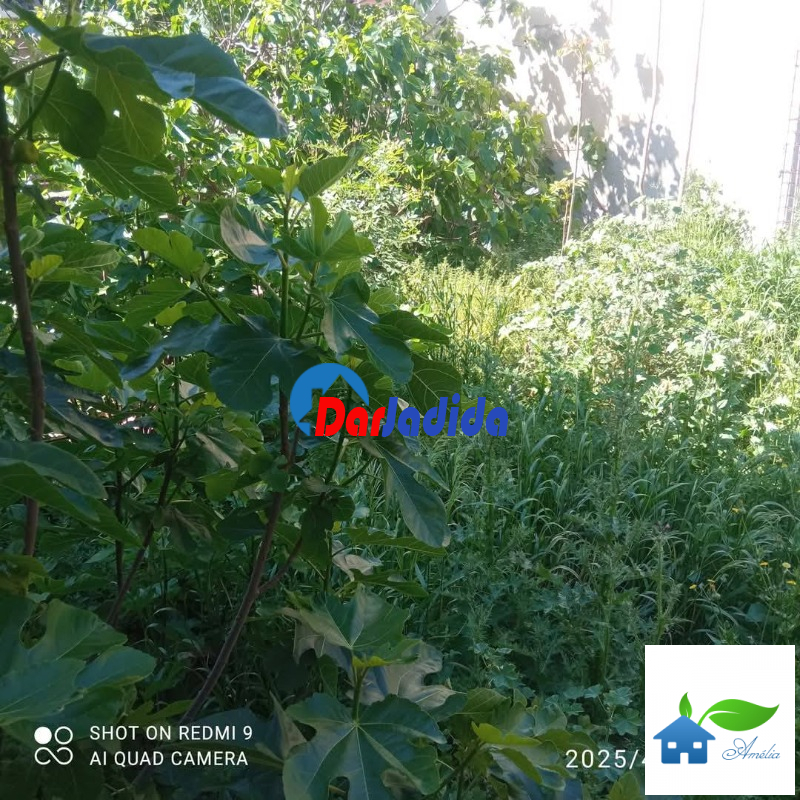 Vente Terrain  Tizi-ouzou