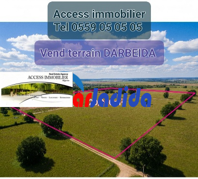 Vente Terrain  Alger