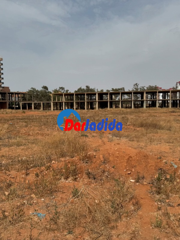 Vente Terrain  Oran