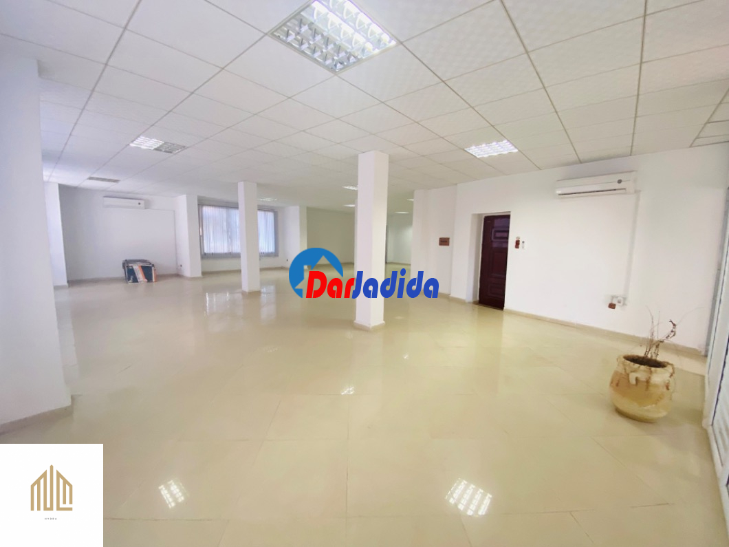 Location Local  Alger