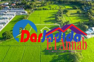 Vente Terrain  Annaba