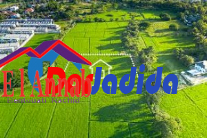 Vente Terrain  Annaba