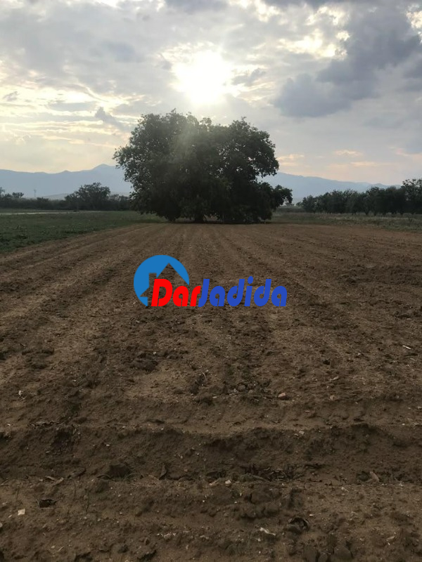 Vente Terrain  Tizi-ouzou