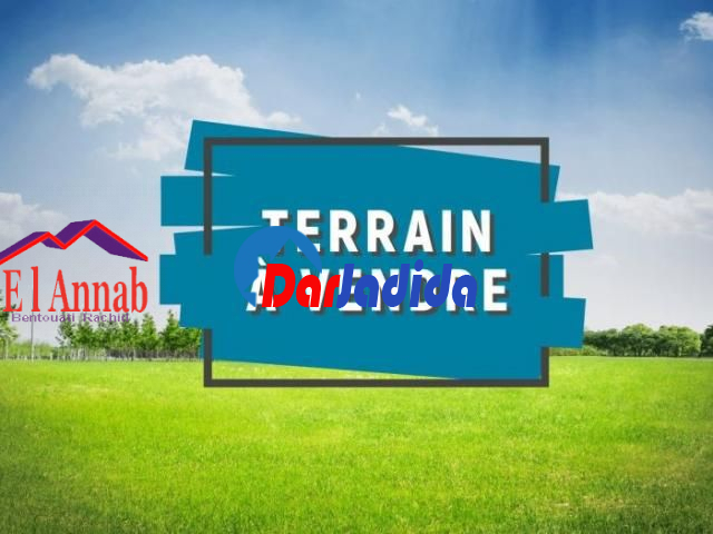 Vente Terrain  Annaba