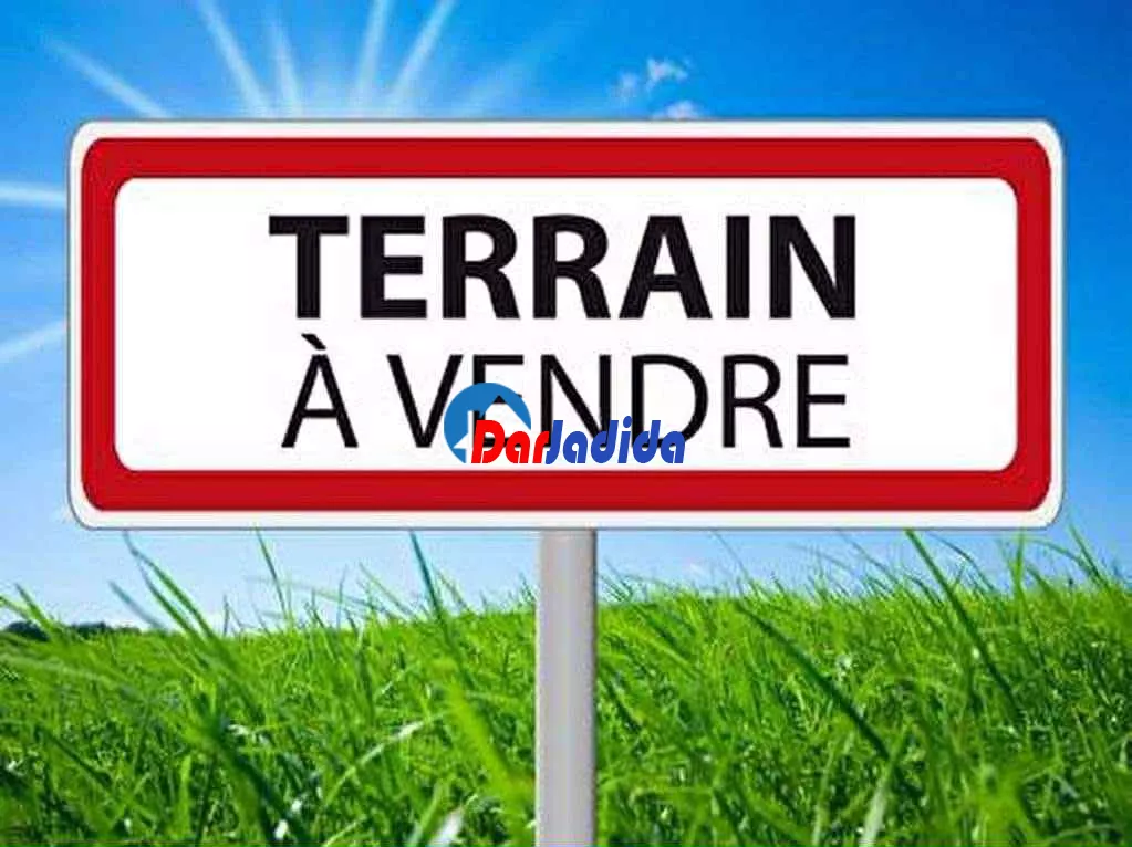 Vente Terrain  Tizi-ouzou