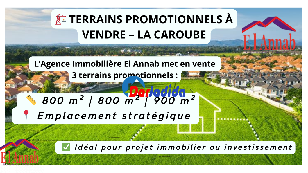 Vente Terrain  Annaba