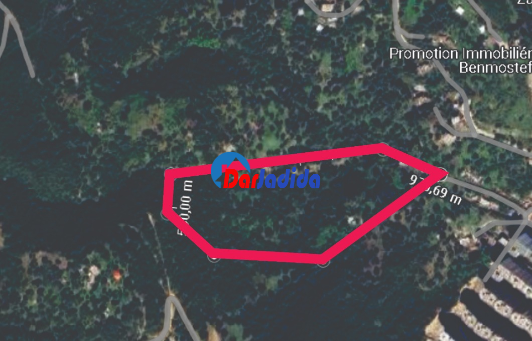 Vente Terrain  Annaba