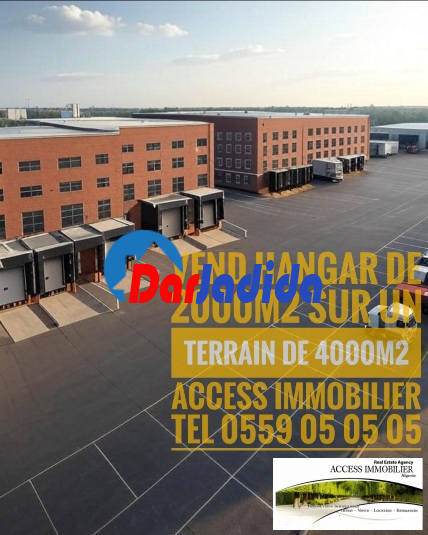 Vente Hangar  Alger