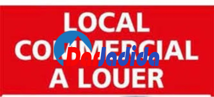 Location Local  Alger