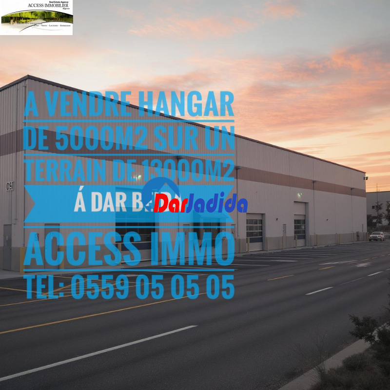 Vente Hangar  Alger