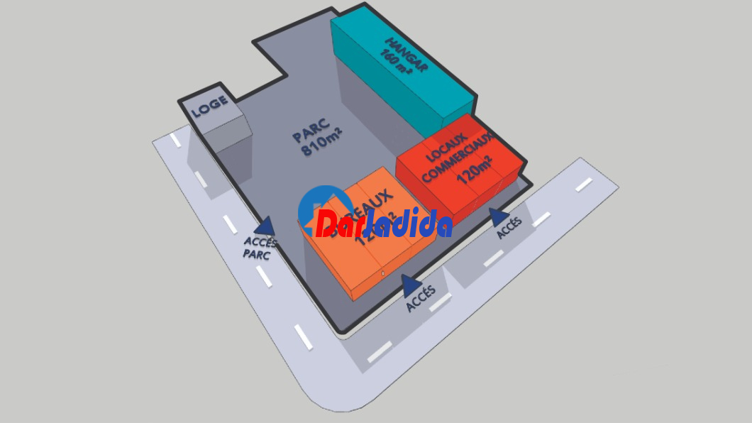 Location Local  Alger