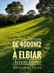 Vente Terrain  Alger