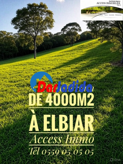 Vente Terrain  Alger