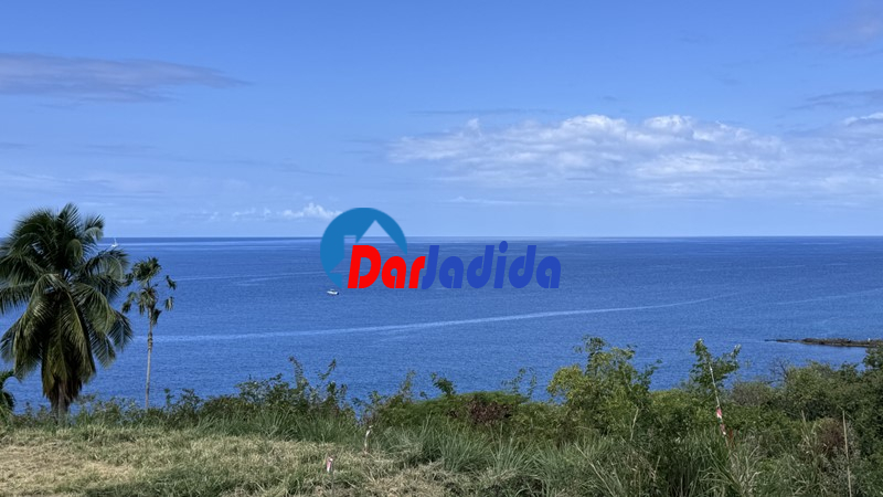 Vente Terrain  Tipaza