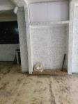 Location Local  Annaba