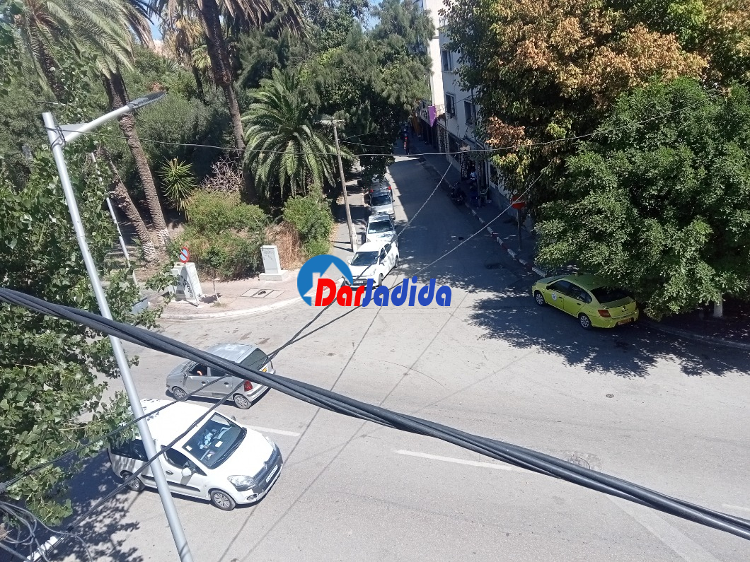 Location Local  Annaba