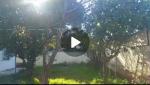 Vente Villa F8 Alger