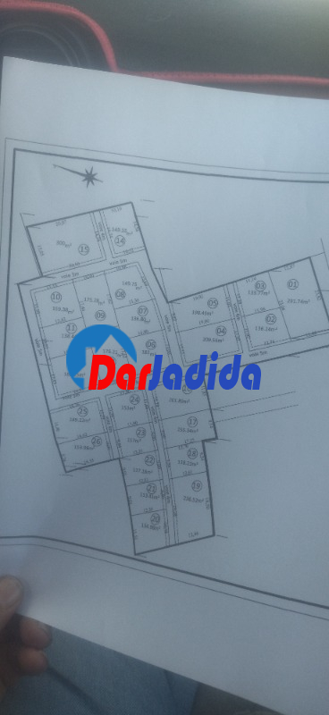 Vente Terrain  Blida