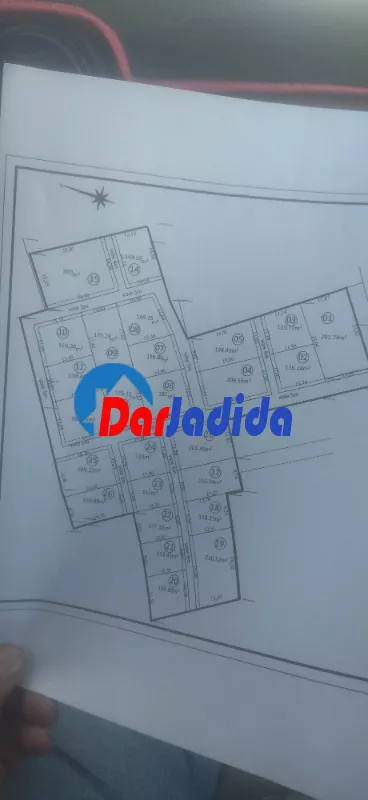 Vente Terrain Soumaa Blida