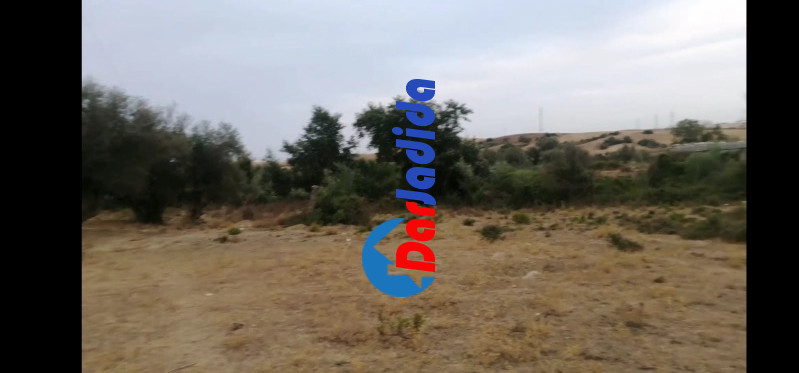 Vente Terrain  Jijel