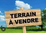 Vente Terrain  El Tarf