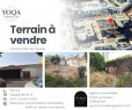 Vente Terrain  Tipaza