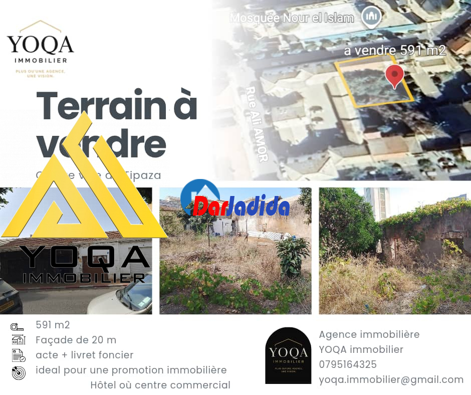 Vente Terrain  Tipaza