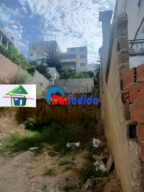 Vente Terrain Annaba