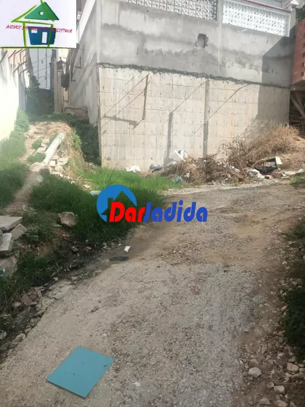 Vente Terrain Annaba