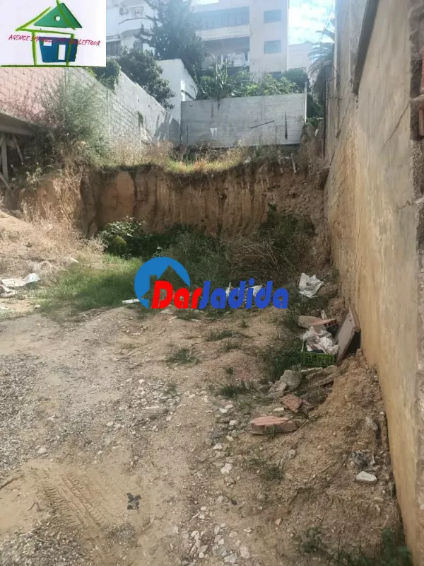 Vente Terrain Annaba