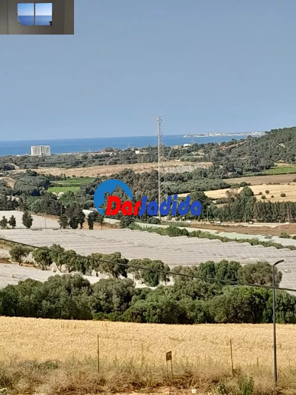 Vente Appartement F3 Tipaza