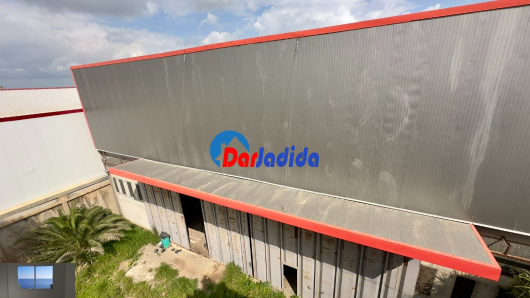 Location Hangar  Blida