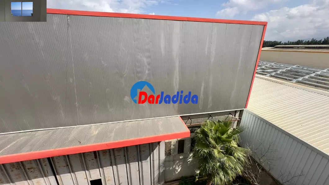 Location Hangar Blida