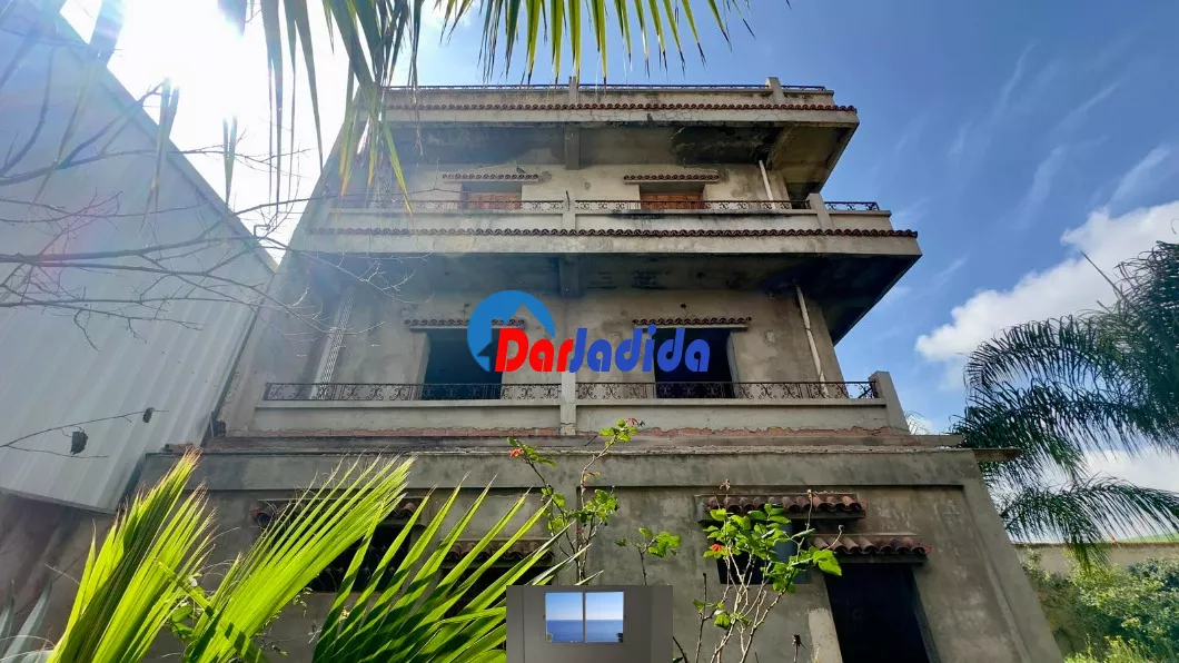 Location Hangar Blida