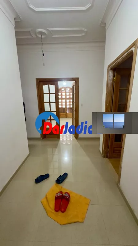 Location Hangar Blida