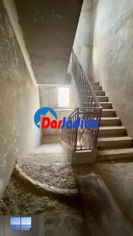 Location Hangar Blida