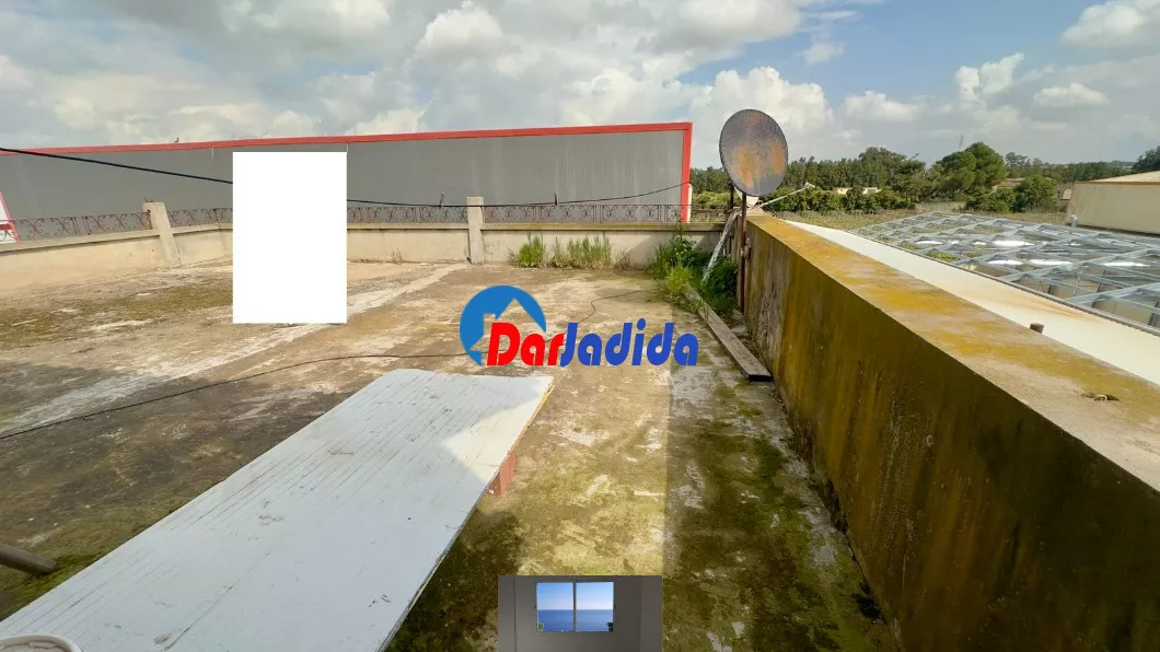 Location Hangar Blida