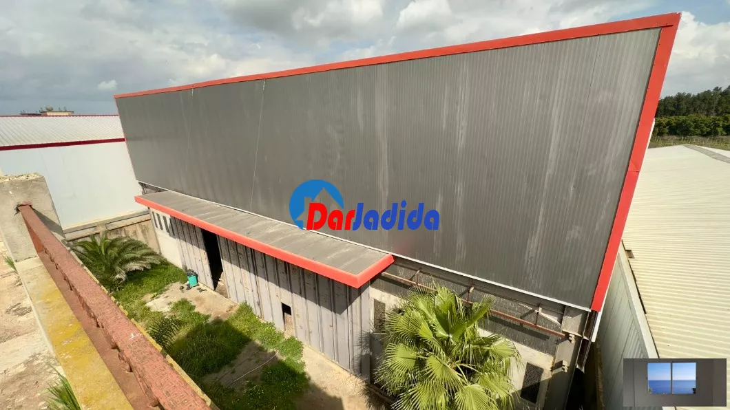 Location Hangar Blida