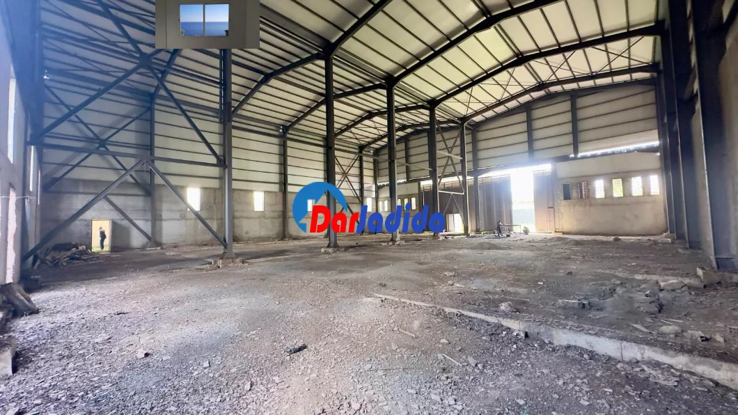 Location Hangar Blida