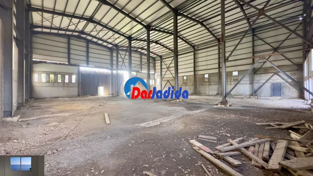 Location Hangar Blida