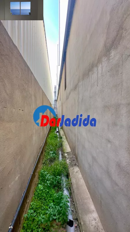 Location Hangar Blida