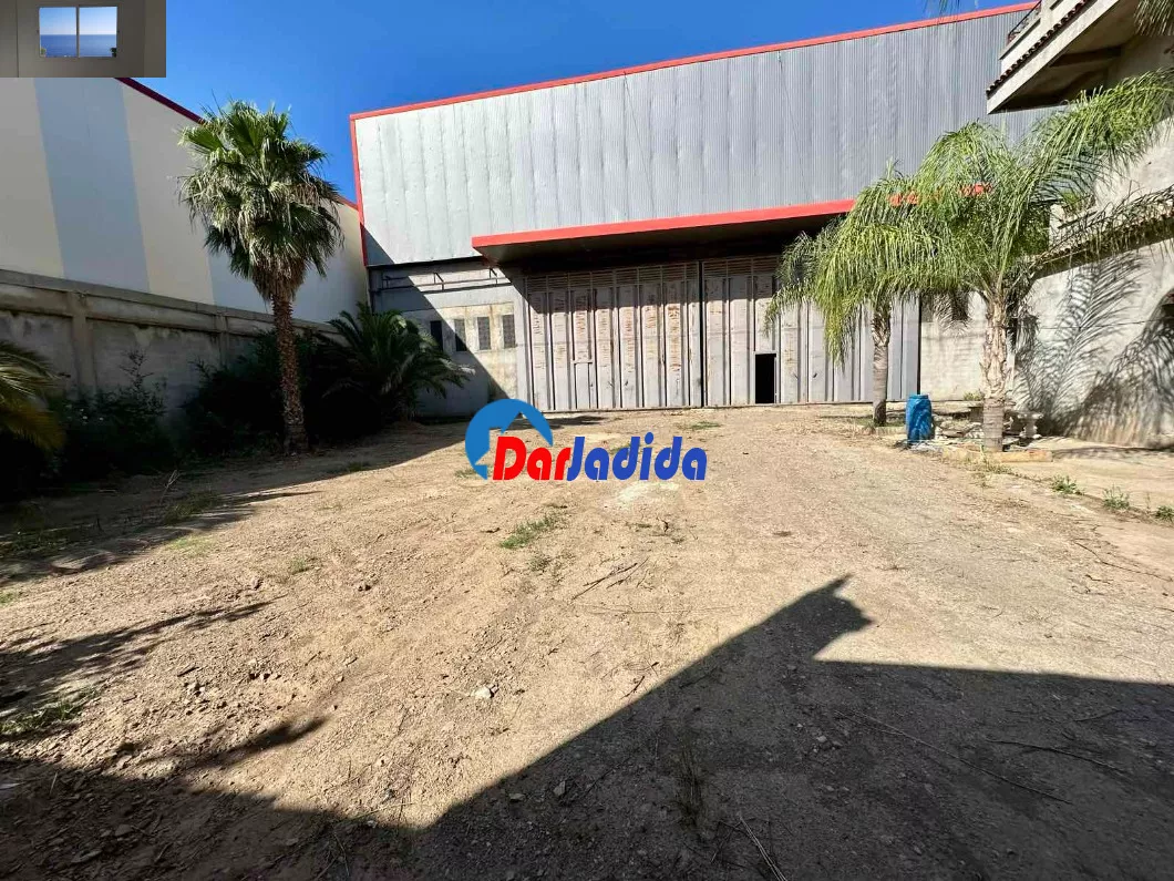 Location Hangar Blida